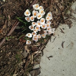 Meet your Posher, Jacqueline